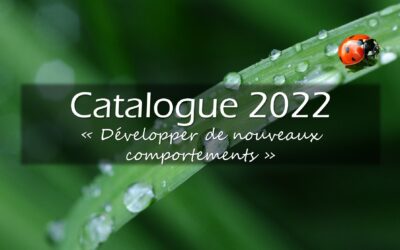 Catalogue formation management – commerce 2022